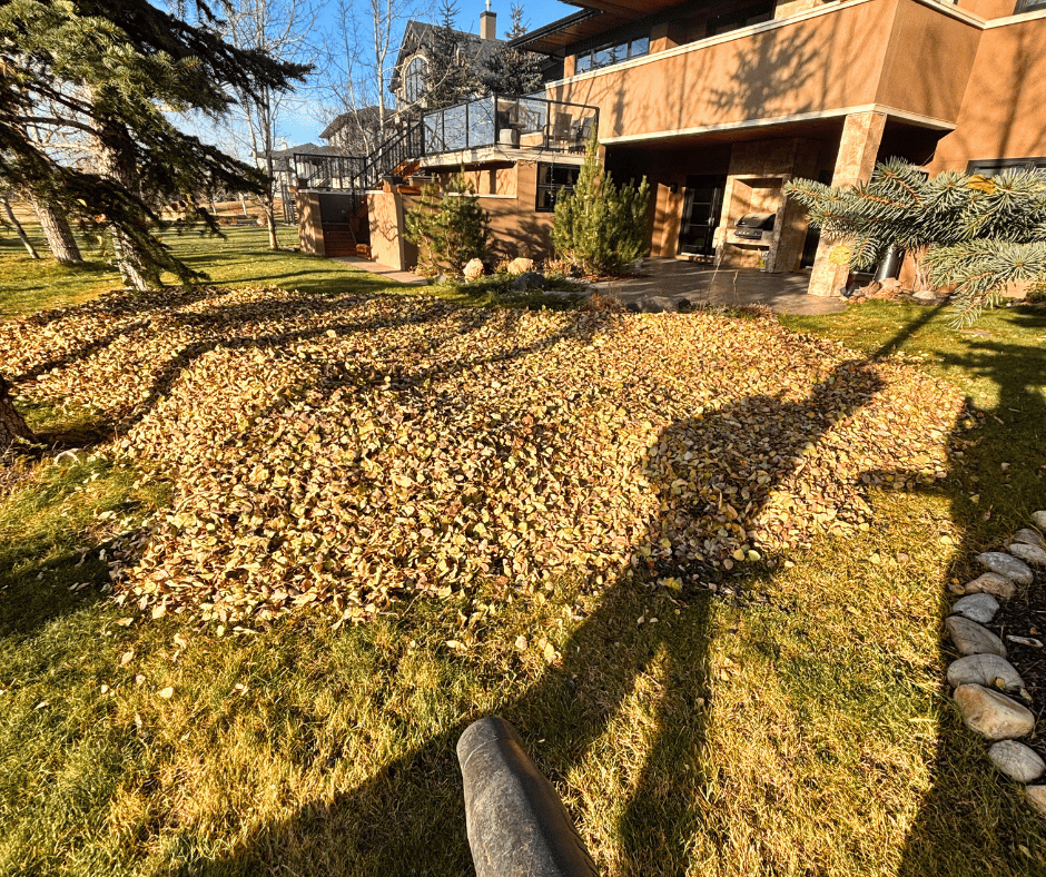 Leaf blowing cleanup service in Alberta