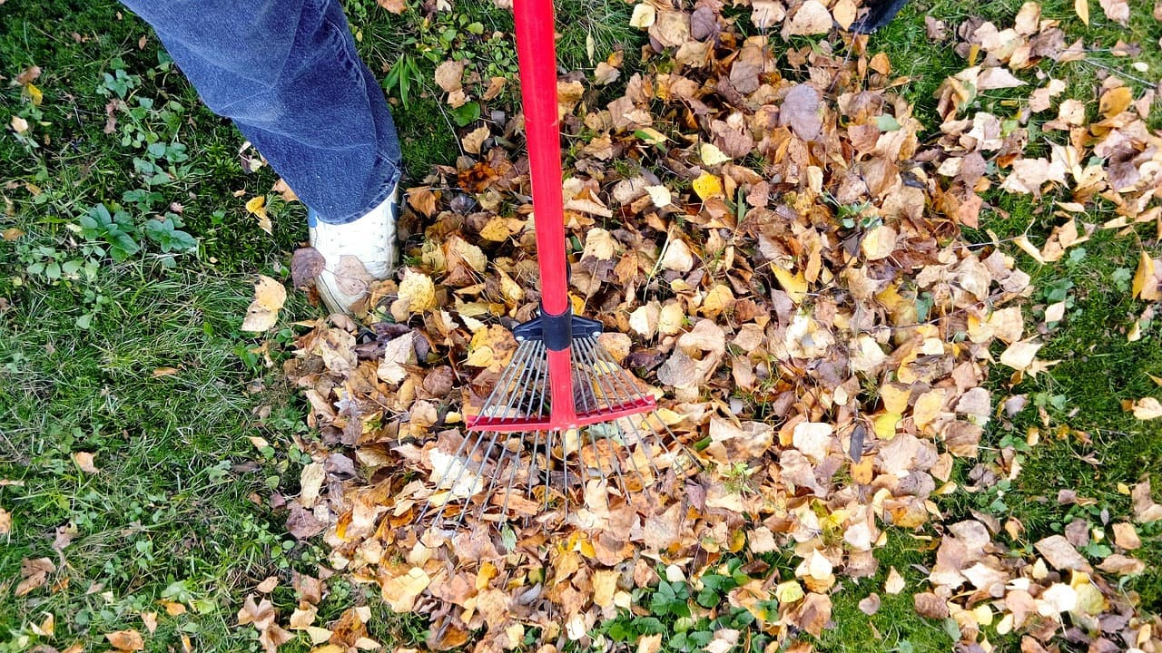 Fall yard cleanup service in Calgary