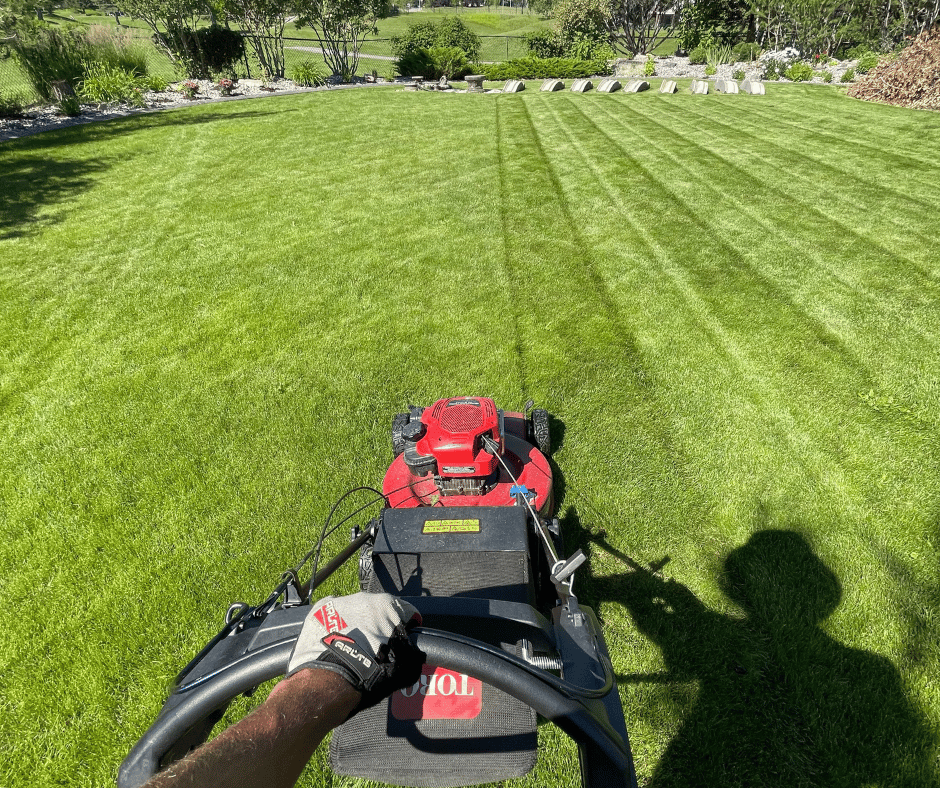 Backyard lawn transformation in Calgary