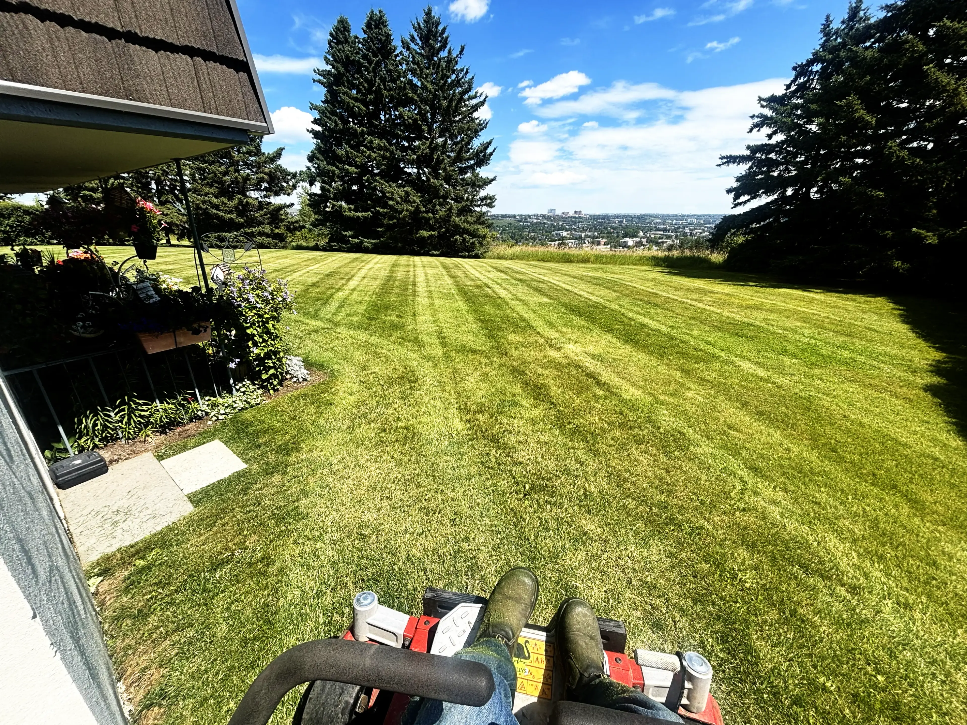 Freshly mowed lawn in the countryside.