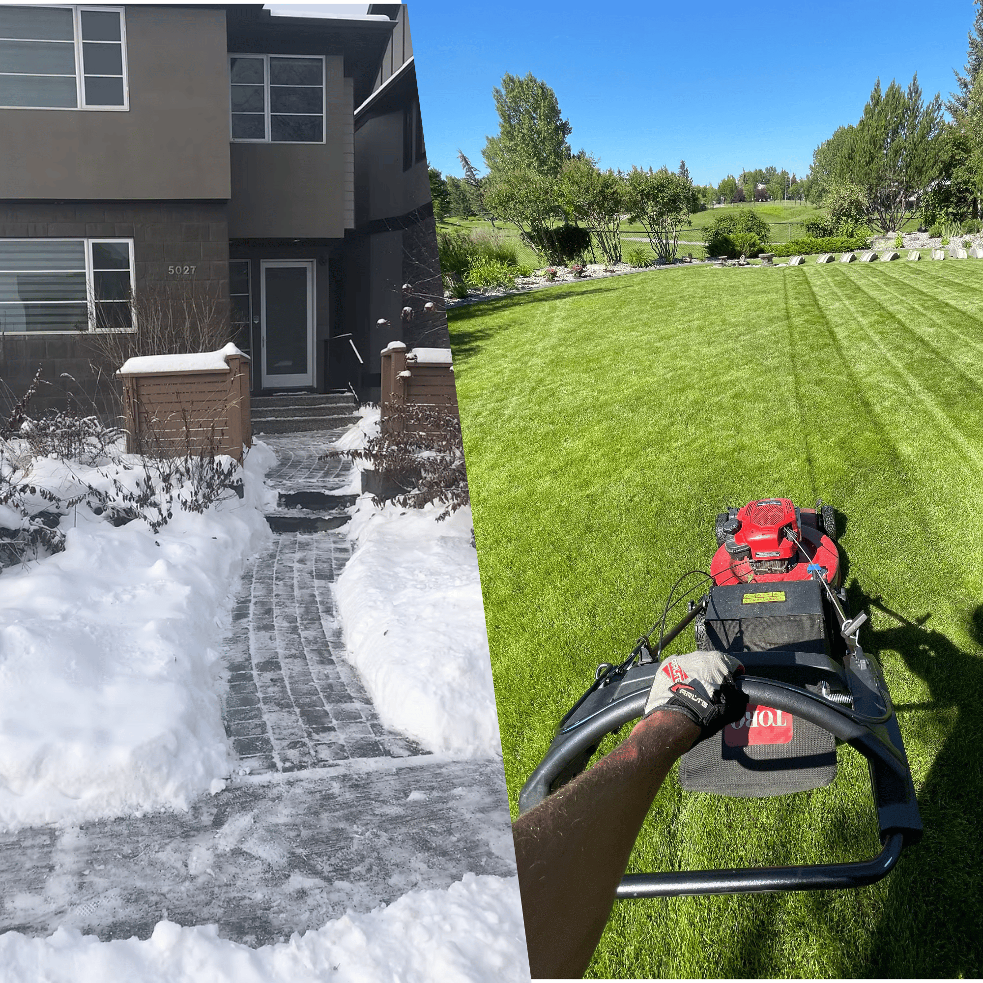 Professional crew providing lawn maintenance service in Calgary, Alberta