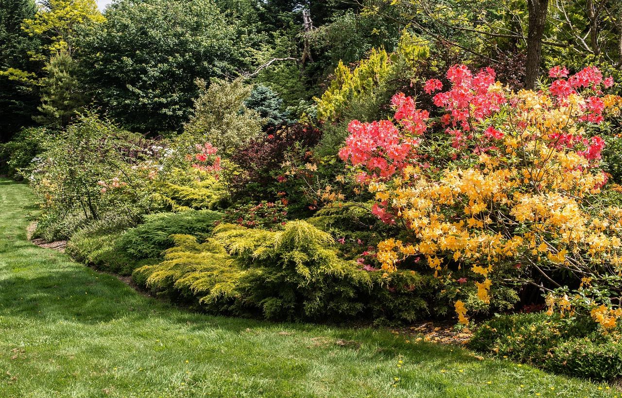 Spring yard cleanup service in Calgary including debris removal and bed prep